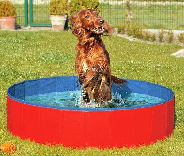 Karlie Doggy Pool - Hundepool faltbar, ohne Aufpumpen, 120 cm, Rot/Blau