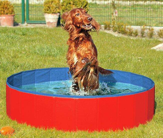 Karlie Doggy Pool - Hundepool faltbar, ohne Aufpumpen, 120 cm, Rot/Blau