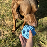 Duvoplus Ball Griplay Dental Rippe