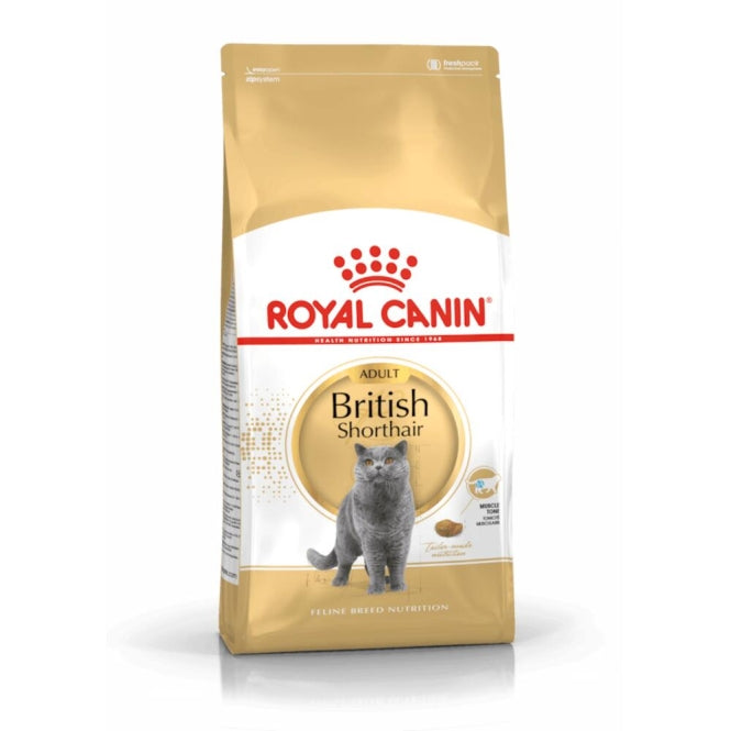 Royal Canin British Shorthair Adult, Trockenfutter für ausgewachsene Britisch-Kurzhaar-Katzen