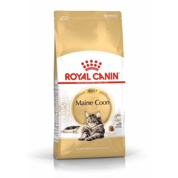Royal Canin Maine Coon Adult, Trockenfutter für ausgewachsene Maine-Coon-Katzen