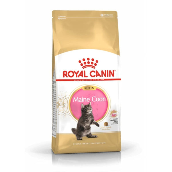 Royal Canin Maine Coon Kitten, Trockenfutter für Maine-Coon-Kätzchen