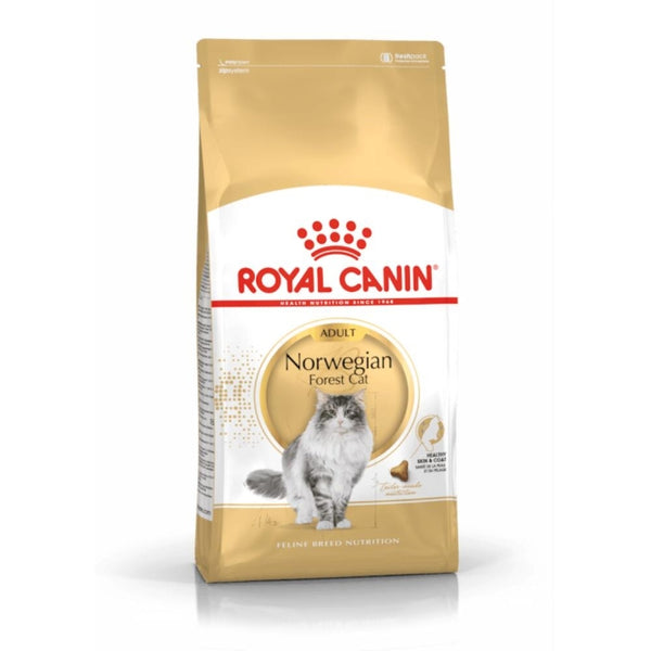 Royal Canin Norwegian Forest Cat Adult, Trockenfutter für ausgewachsene Norwegische Waldkatzen
