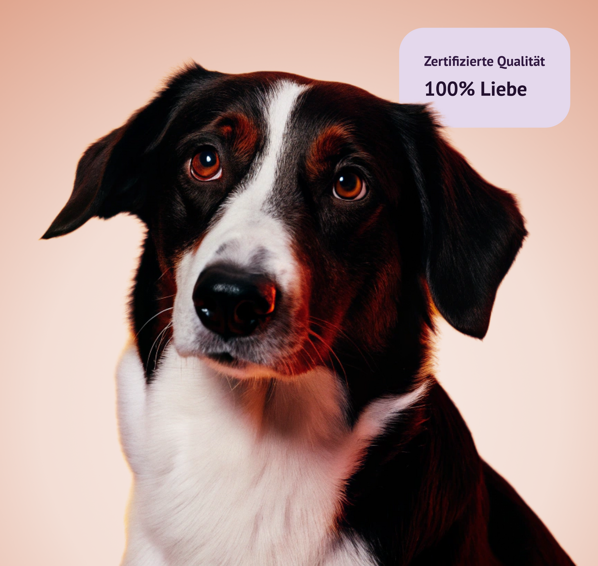 Alles für deinen Hund.