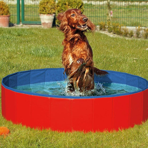 Karlie Doggy Pool - Hundepool faltbar, ohne Aufpumpen, 120 cm, Rot/Blau