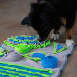 Hund schnüffelt auf der PROCYON Intelligenzmatte 2 nach versteckten Leckerlis