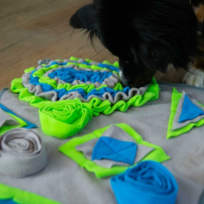 Hund stöbert in den grünen Stoffrosetten der PROCYON Intelligenzmatte 2