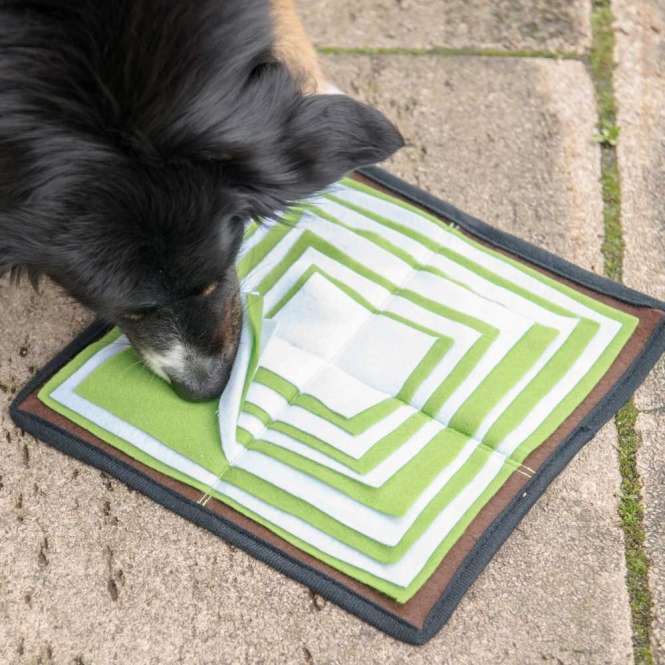 Hund sucht mit der Nase Leckerlis zwischen den Stofflagen der PROCYON Schnüffelpyramide