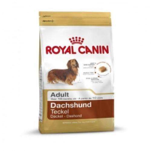 Royal Canin Dackel Adult, Trockenfutter für ausgewachsene Dackel