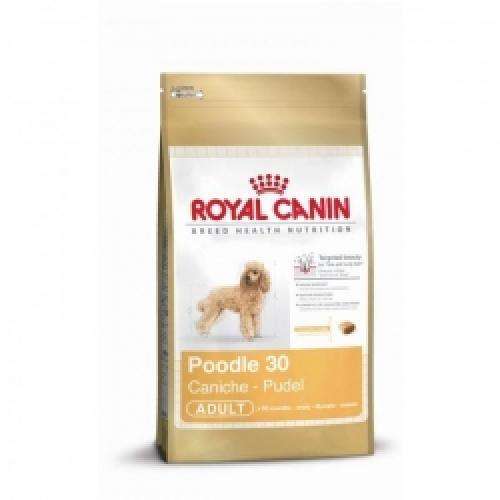 Royal Canin Pudel Adult, Trockenfutter für ausgewachsene Pudel