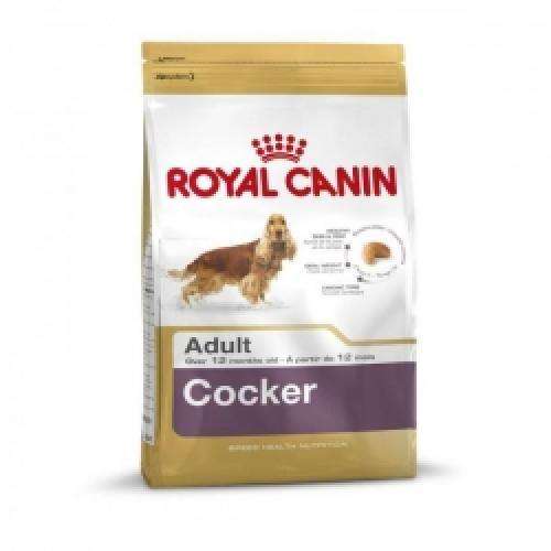 Royal Canin Cocker Adult – Trockenfutter für ausgewachsene Cocker Spaniel – 3 kg