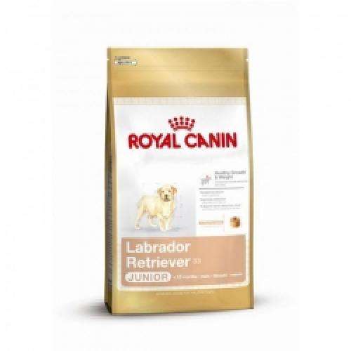 Royal Canin Labrador Retriever Puppy – Trockenfutter für Labrador-Welpen – 12 kg